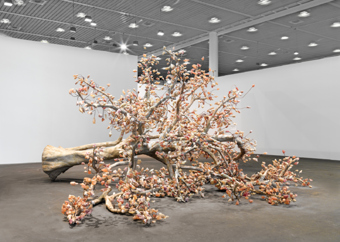 Bharti Kher / "The Wag Tree", installation view, Art Unlimited 2009 / 2009