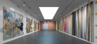 John Armleder / "Paint Happens", exhibition view, Galerie Andrea Caratsch, Zürich / 2008