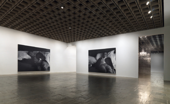 Rudolf Stingel / Exhibition View, Whitney Museum, New York / 2008