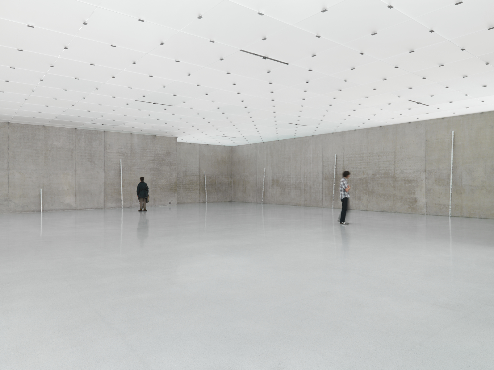Roni Horn / White Dickinson, exhibition view, "Well and Truly", Kunsthaus Bregenz  / 2010
