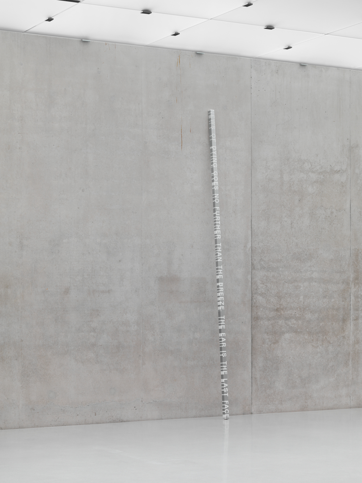 Roni Horn / White Dickinson, installation view, "Well and Truly", Kunsthaus Bregenz, 2010  / 2010