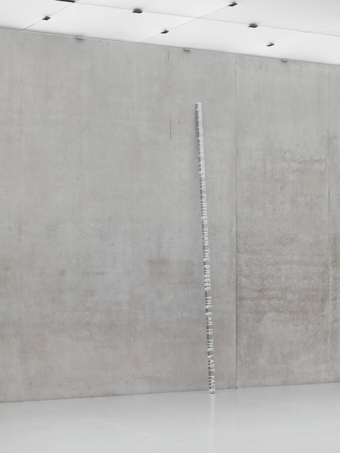 Roni Horn / White Dickinson, installation view, "Well and Truly", Kunsthaus Bregenz, 2010  / 2010