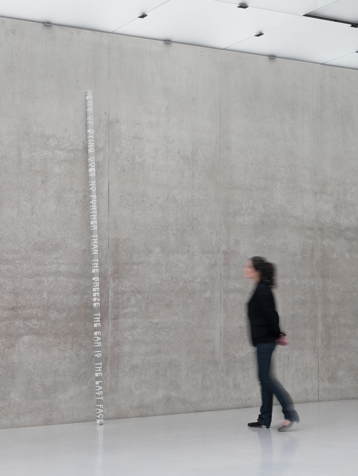 Roni Horn / "White Dickinson", installation view, "Well and Truly", Kunsthaus Bregenz, 2010  / 2010