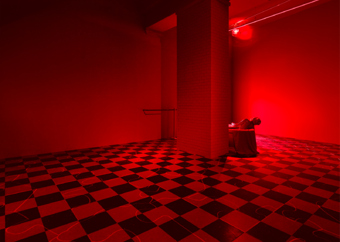 Richard Jackson,  / "The Laundry Room", exhibition view, Hauser & Wirth Zürich / 2009