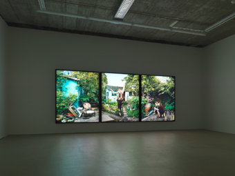 Rodney Graham / "Vignettes of Life", exhibition view, Hauser & Wirth Zürich / 2011