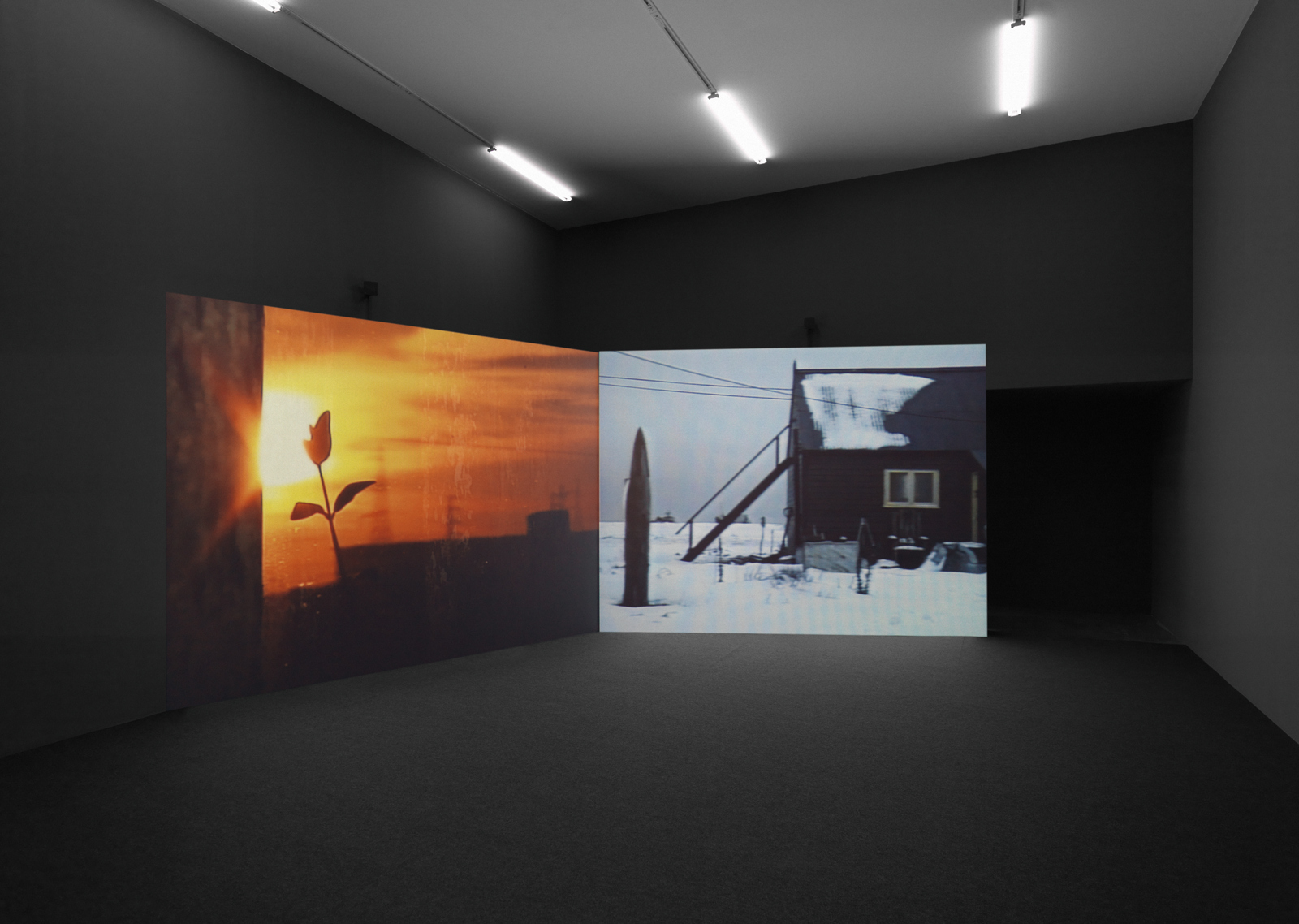 Derek Jarman / "Brutal Beauty", exhibition view, Kunsthalle Zürich / 2008