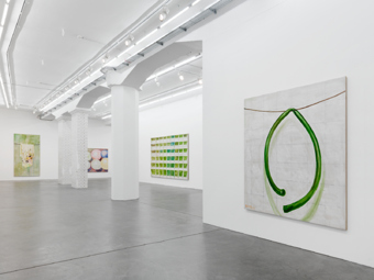 Zhang Enli / "Topology", exhibition view, Hauser & Wirth, Zürich  / 2012