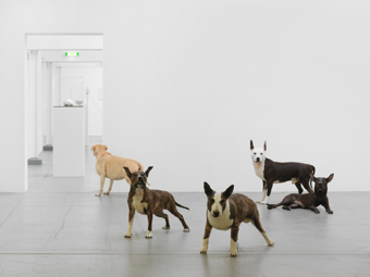 Jochem Hendricks / "Visionäre Sammlung Vol.19", exhibition view, Haus Konstruktiv, Zürich / 2012