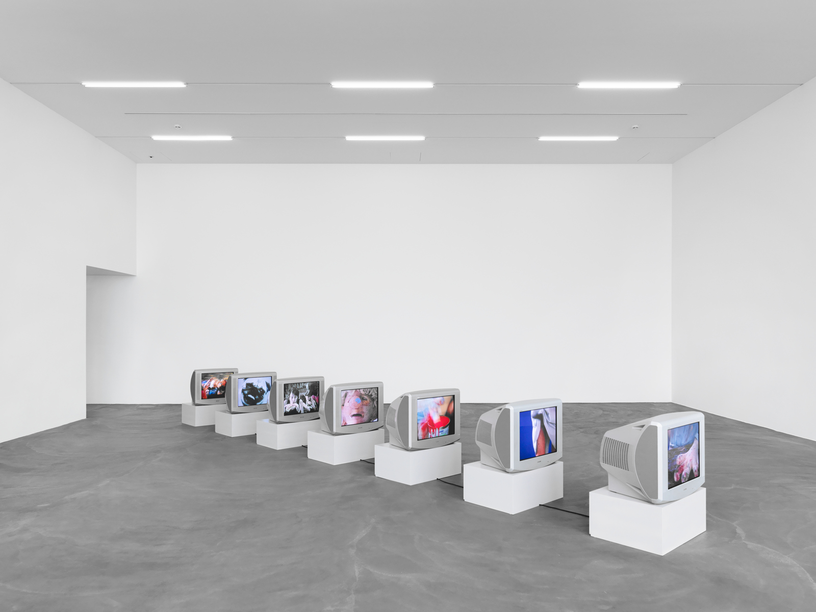 Sturtevant / "Image Over Image", exhibition view, Kunsthalle Zürich / 2012