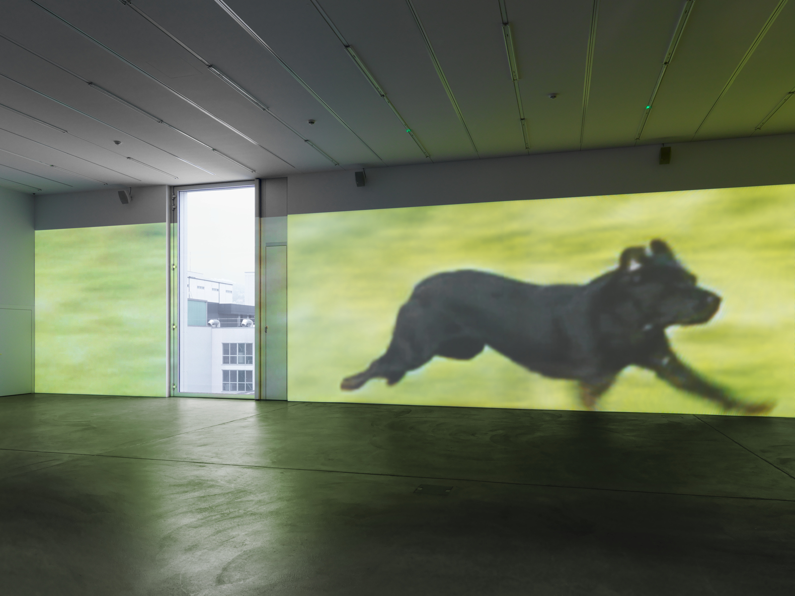 Sturtevant / "Image Over Image", exhibition view, Kunsthalle Zürich / 2012
