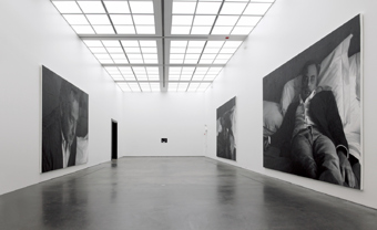 Rudolf Stingel / Exhibition view, Museum of Modern Art, Chicago / 2008