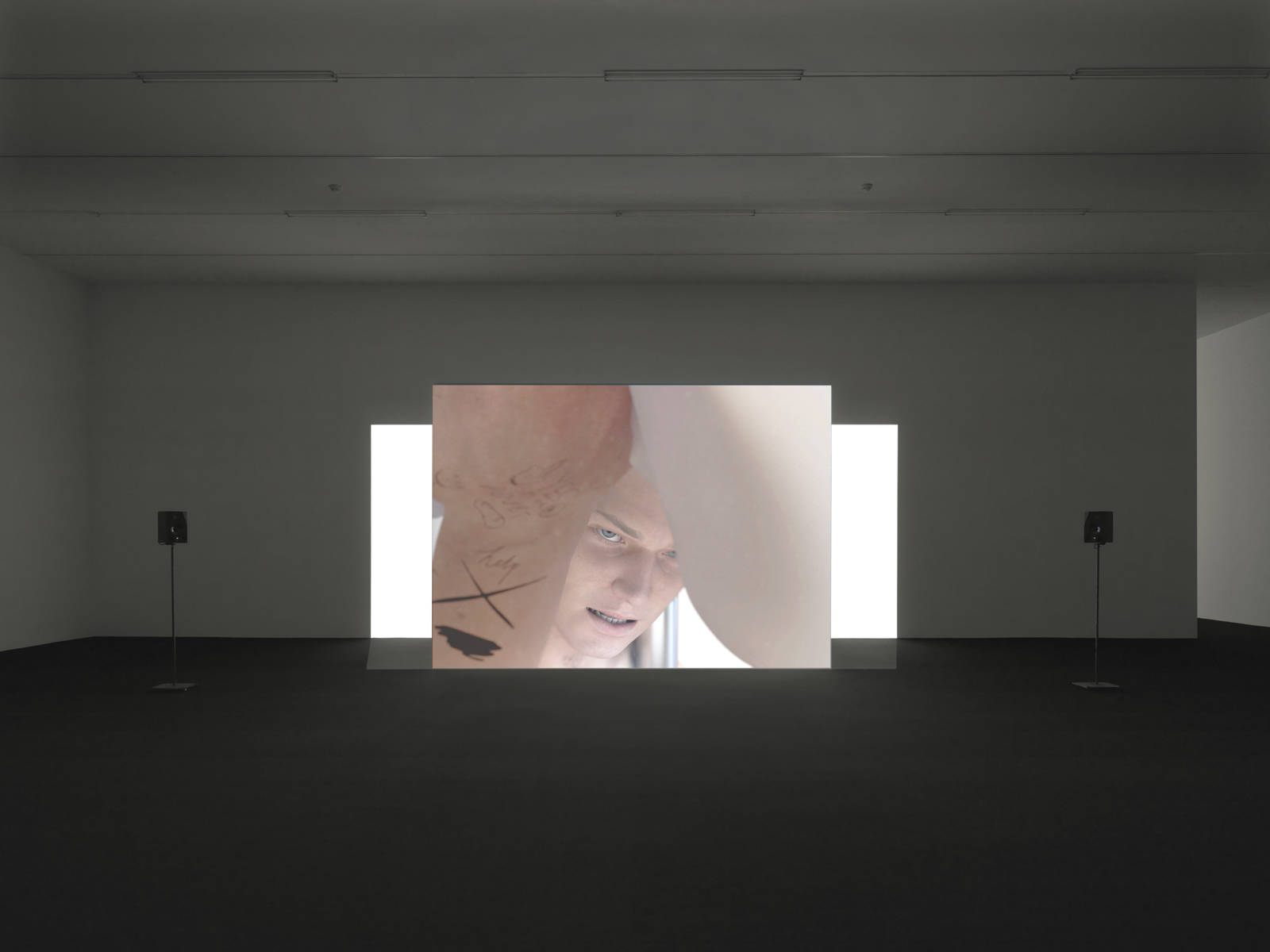 Ed Atkins / Exhibition view, Kunsthalle Zürich / 2014